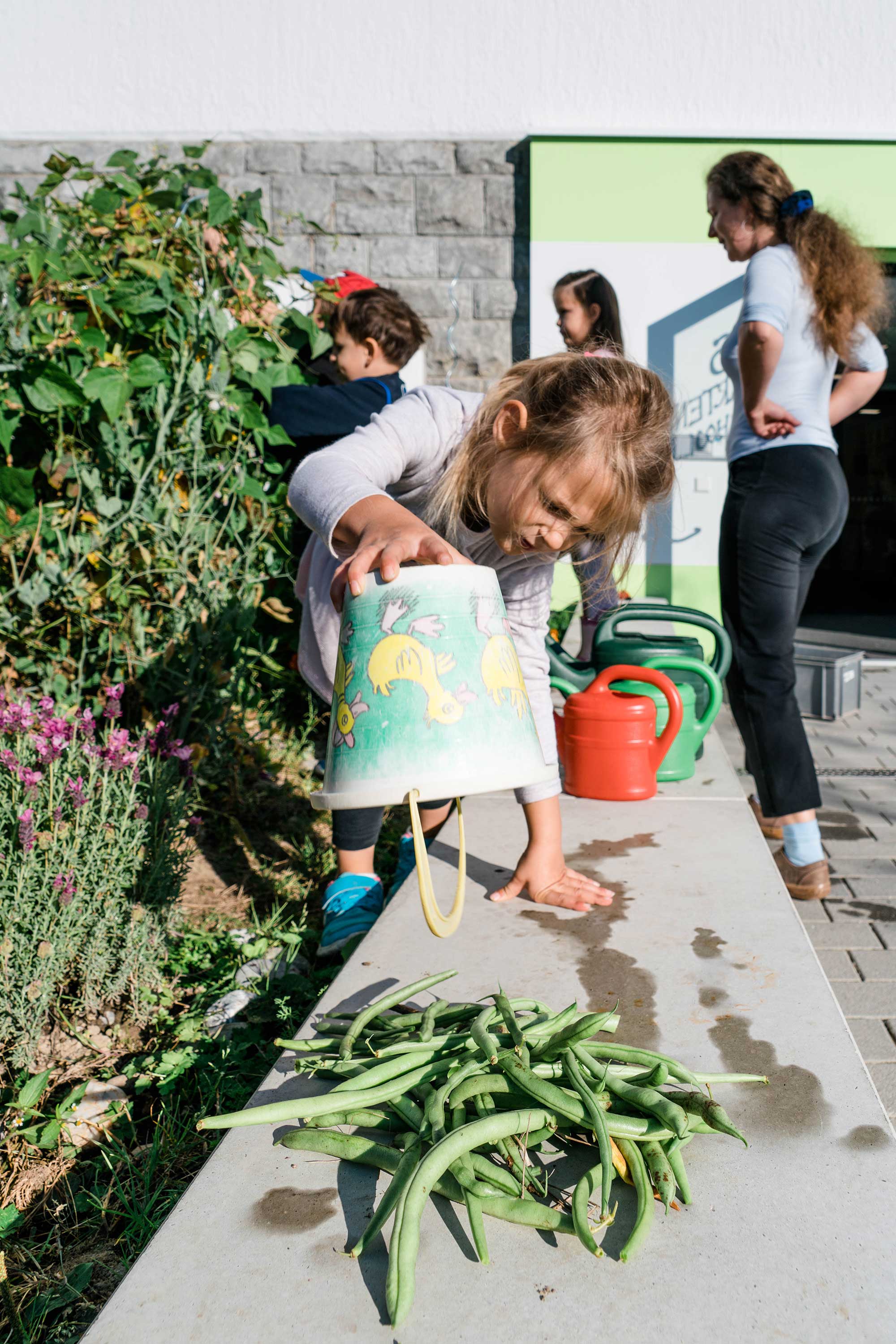 Una bambina svuota un secchio di fagiolini che ha raccolto e li esamina.