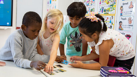 Two girls and two boys are standing at a table in the classroom. They sort and reach for different flashcards.